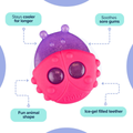 Nuby IcyBite Animal Teether