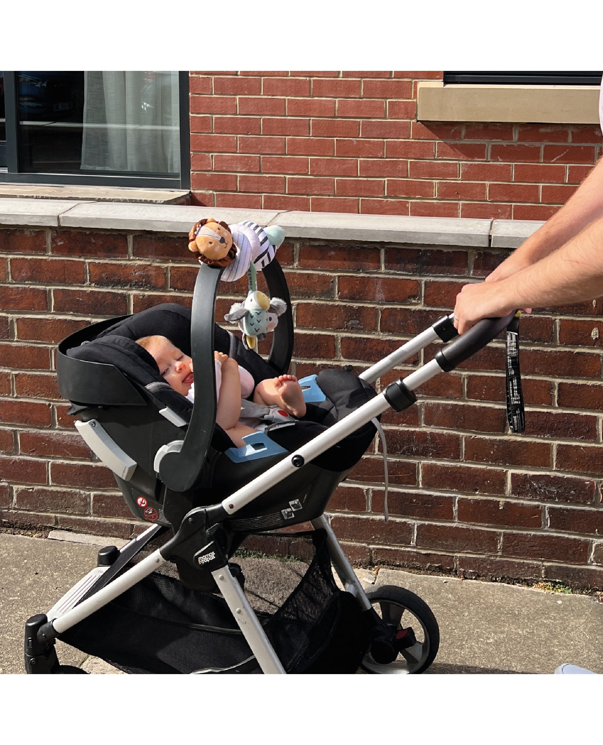 Animal Adventures Pram Spiral Pram Toy Nuby