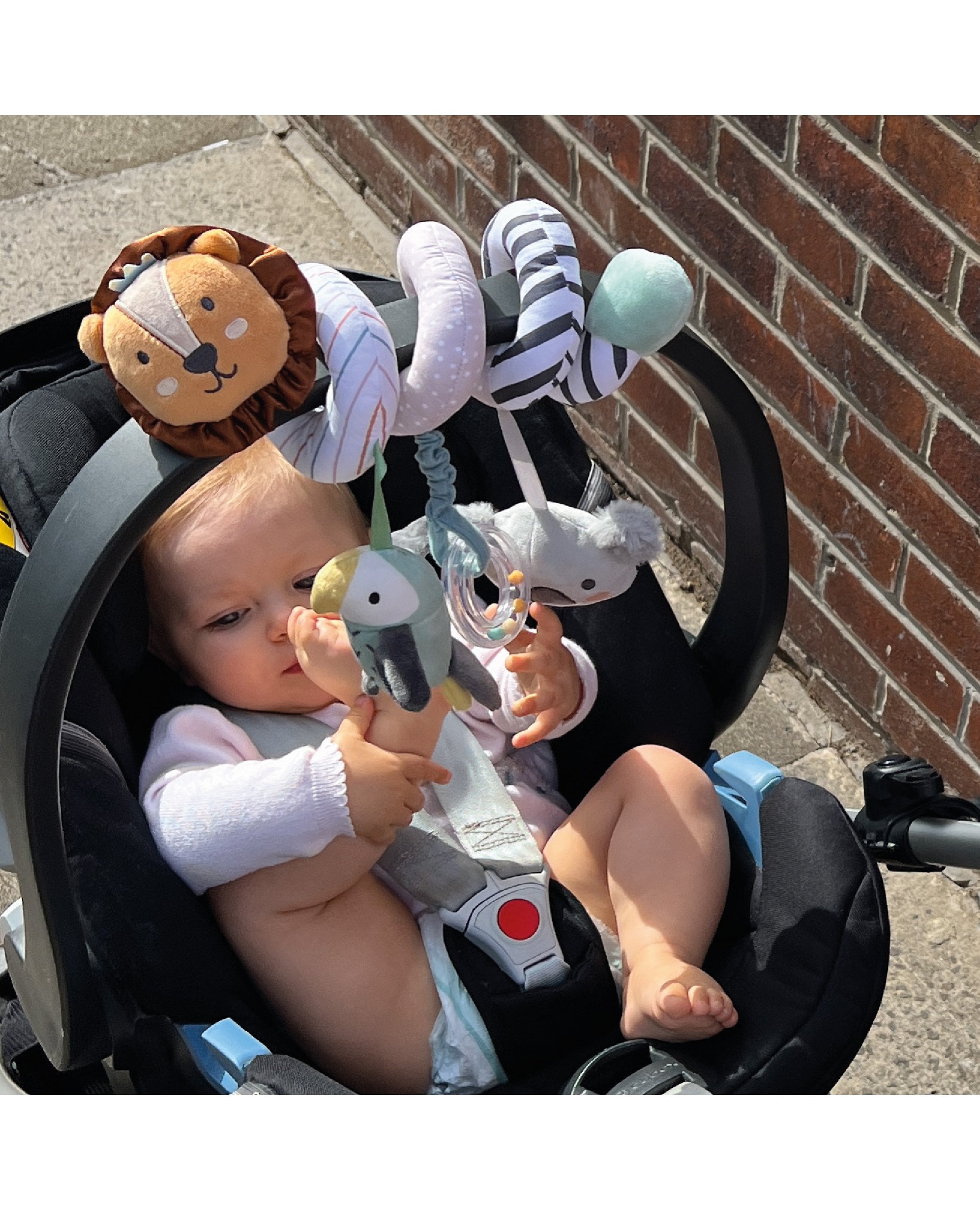 Animal Adventures Pram Spiral Pram Toy Nuby