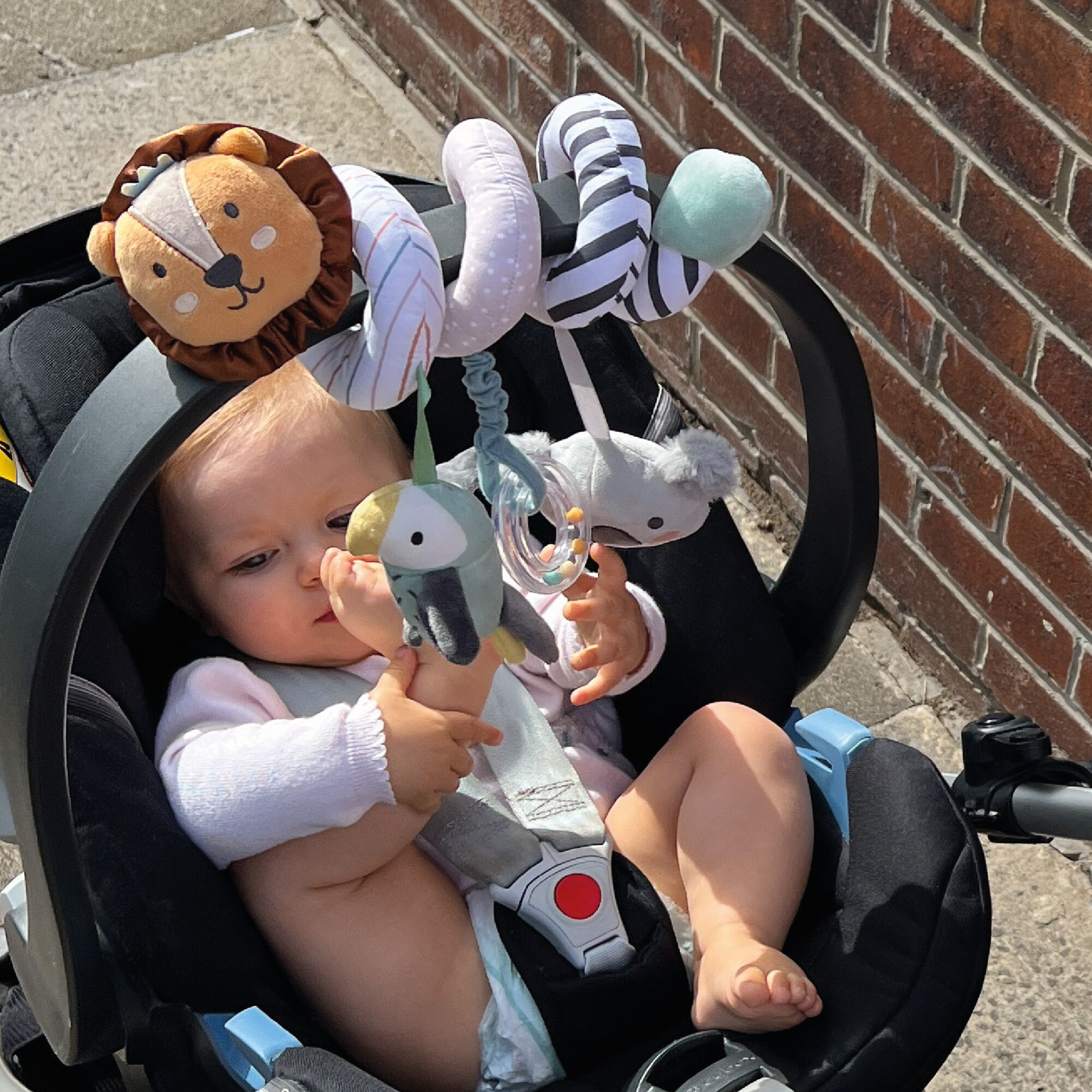 Nuby Animal Adventures Stroller Spiral 