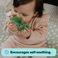 Nuby Chewbies Multi-textured Teether