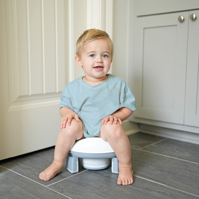 Portable Potty Seat